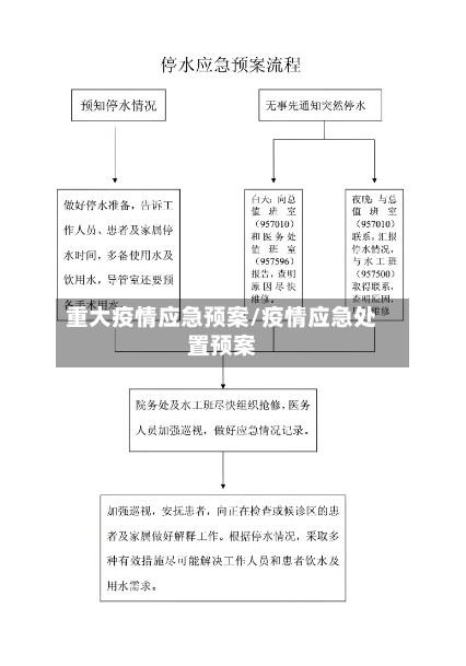 重大疫情应急预案/疫情应急处置预案