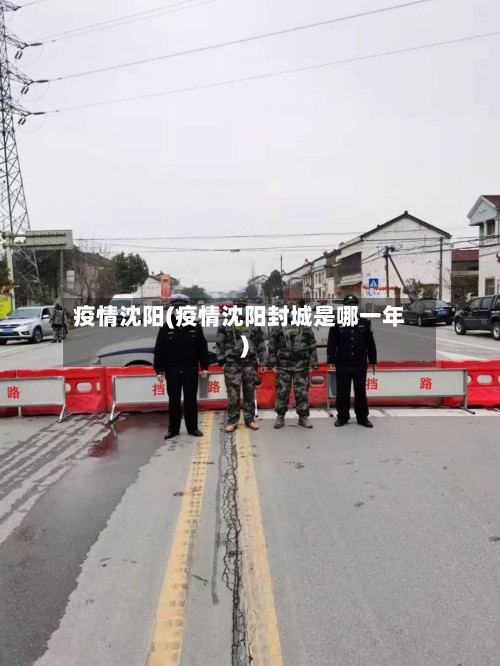 疫情沈阳(疫情沈阳封城是哪一年)