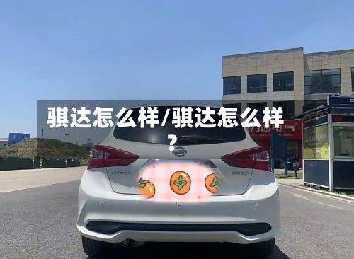 骐达怎么样/骐达怎么样?-第2张图片