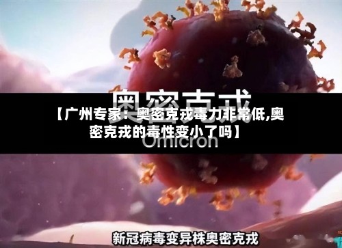 【广州专家:奥密克戎毒力非常低,奥密克戎的毒性变小了吗】-第2张图片