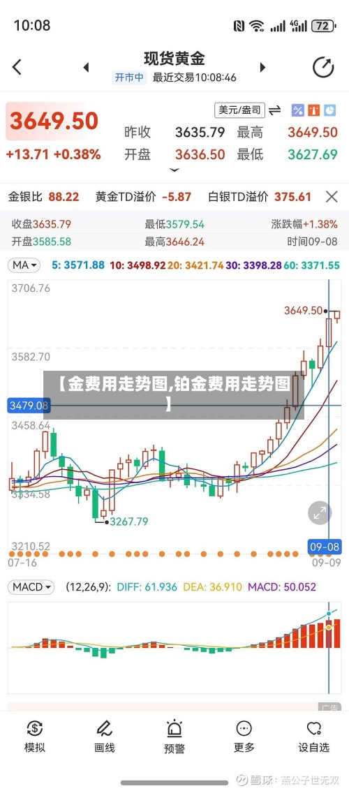【金费用走势图,铂金费用走势图】-第2张图片