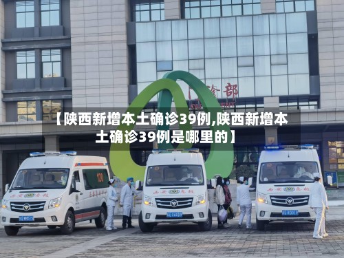 【陕西新增本土确诊39例,陕西新增本土确诊39例是哪里的】-第3张图片