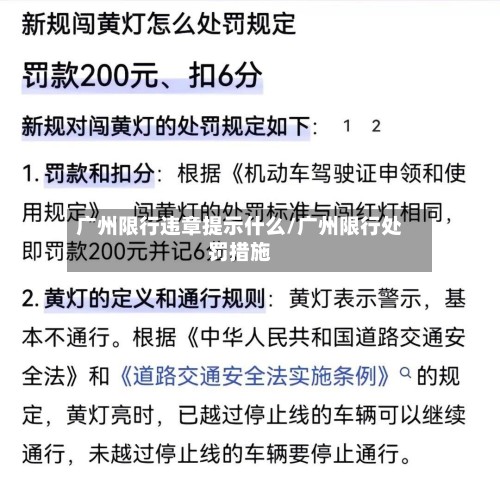 广州限行违章提示什么/广州限行处罚措施-第3张图片