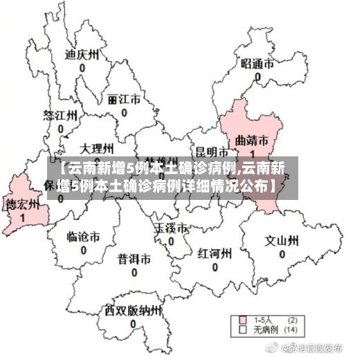 【云南新增5例本土确诊病例,云南新增5例本土确诊病例详细情况公布】