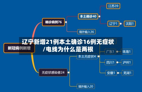 辽宁新增21例本土确诊16例无症状/电线为什么是两根-第2张图片
