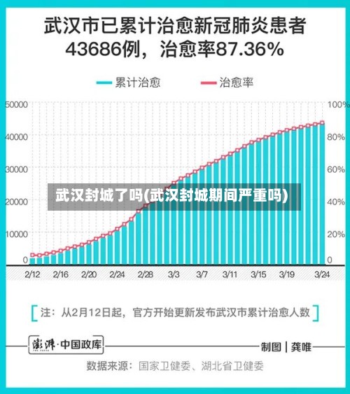 武汉封城了吗(武汉封城期间严重吗)