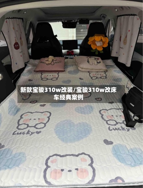 新款宝骏310w改装/宝骏310w改床车经典案例