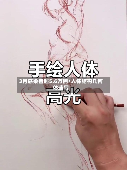 3月感染者超5.6万例/人体结构几何体速写-第2张图片