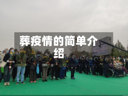 葬疫情的简单介绍