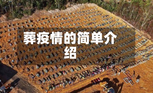 葬疫情的简单介绍-第2张图片