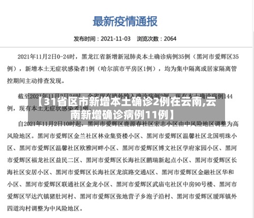 【31省区市新增本土确诊2例在云南,云南新增确诊病例11例】-第3张图片