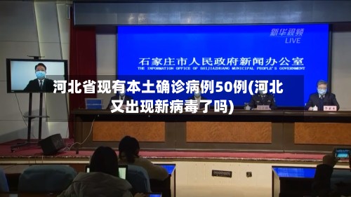 河北省现有本土确诊病例50例(河北又出现新病毒了吗)-第3张图片
