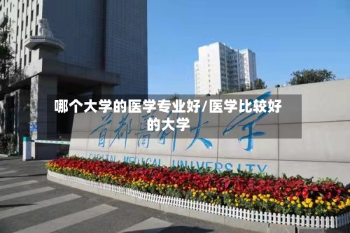 哪个大学的医学专业好/医学比较好的大学