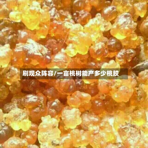 刷观众阵容/一亩桃树能产多少桃胶