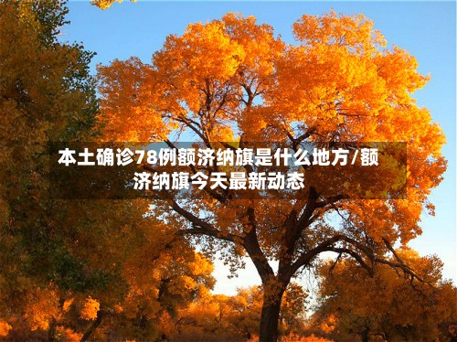 本土确诊78例额济纳旗是什么地方/额济纳旗今天最新动态-第2张图片