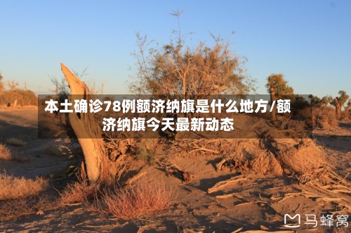 本土确诊78例额济纳旗是什么地方/额济纳旗今天最新动态-第3张图片
