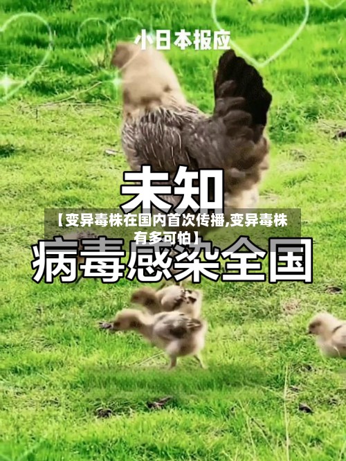 【变异毒株在国内首次传播,变异毒株有多可怕】-第3张图片