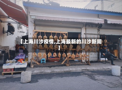 【上海川沙疫情,上海最新的川沙新闻】