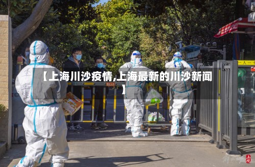 【上海川沙疫情,上海最新的川沙新闻】-第3张图片
