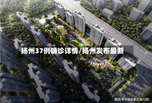 扬州37例确诊详情/扬州发布最新-第2张图片