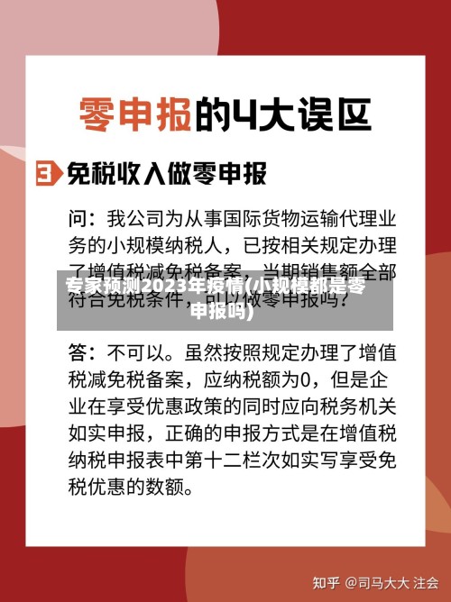 专家预测2023年疫情(小规模都是零申报吗)-第2张图片
