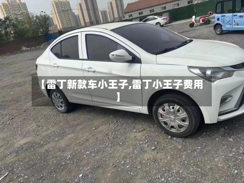 【雷丁新款车小王子,雷丁小王子费用】-第3张图片