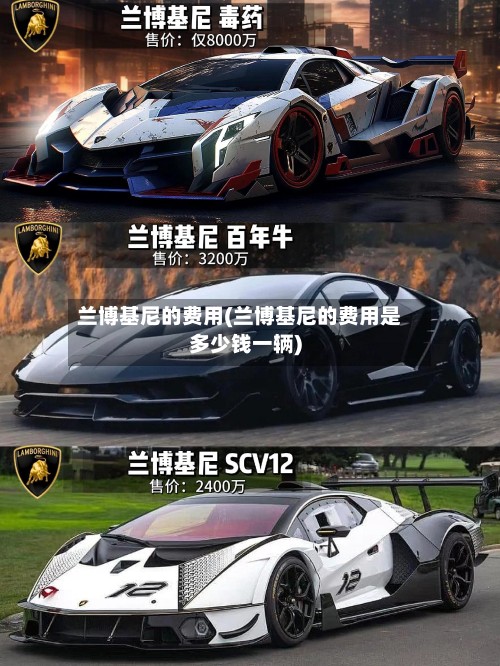 兰博基尼的费用(兰博基尼的费用是多少钱一辆)