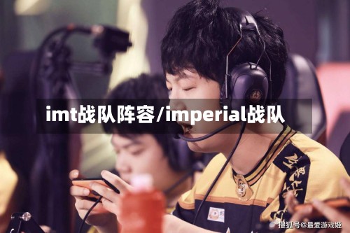 imt战队阵容/imperial战队-第3张图片