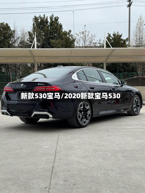 新款530宝马/2020新款宝马530-第2张图片