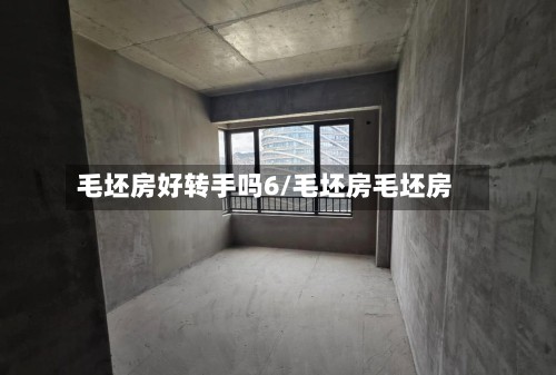 毛坯房好转手吗6/毛坯房毛坯房