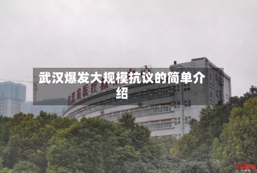 武汉爆发大规模抗议的简单介绍