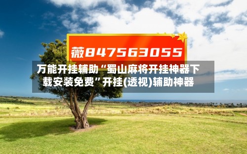 万能开挂辅助“蜀山麻将开挂神器下载安装免费”开挂(透视)辅助神器-第3张图片