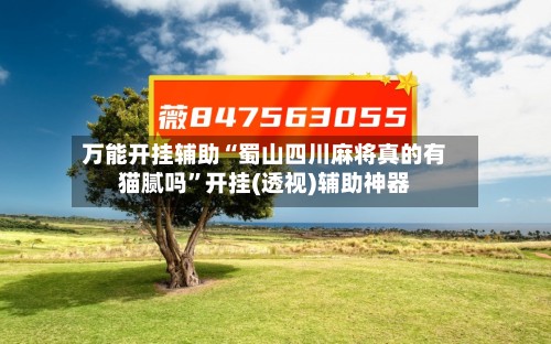 万能开挂辅助“蜀山四川麻将真的有猫腻吗”开挂(透视)辅助神器-第3张图片