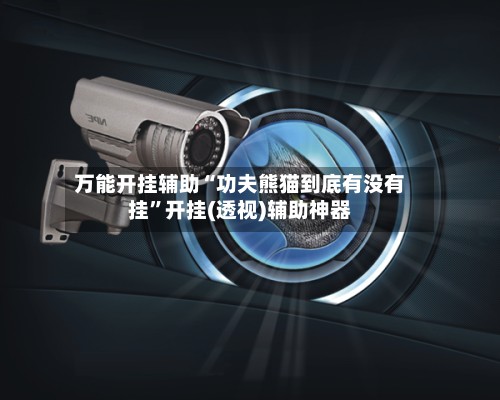万能开挂辅助“功夫熊猫到底有没有挂”开挂(透视)辅助神器-第3张图片