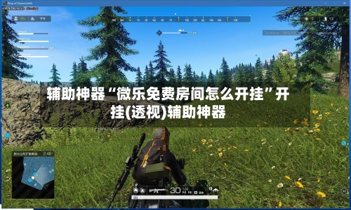 辅助神器“微乐免费房间怎么开挂”开挂(透视)辅助神器-第2张图片