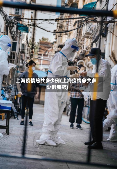 上海疫情总共多少例(上海疫情总共多少例新冠)