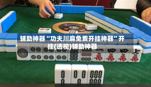 辅助神器“功夫川麻免费开挂神器	”开挂(透视)辅助神器-第2张图片