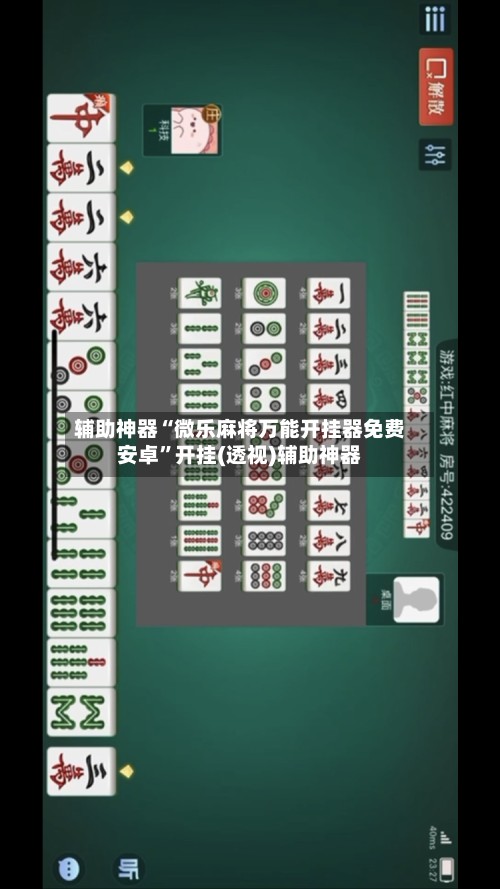 辅助神器“微乐麻将万能开挂器免费安卓”开挂(透视)辅助神器-第2张图片