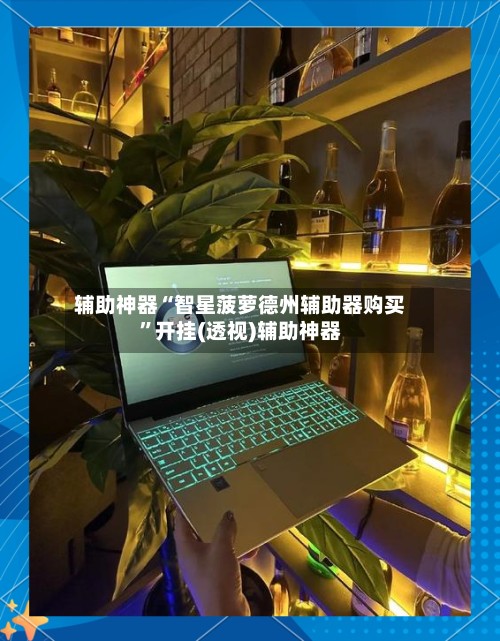 辅助神器“智星菠萝德州辅助器购买”开挂(透视)辅助神器-第2张图片