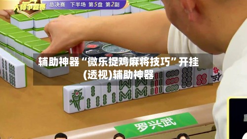 辅助神器“微乐捉鸡麻将技巧”开挂(透视)辅助神器-第2张图片