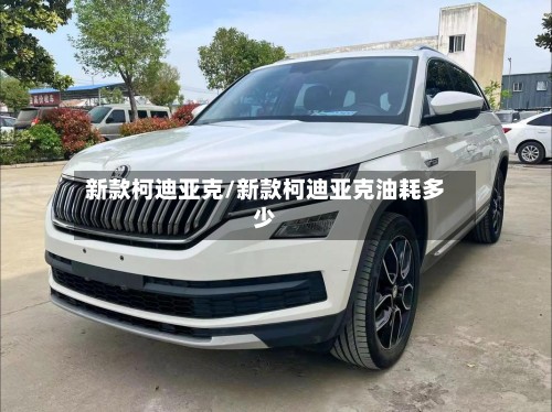 新款柯迪亚克/新款柯迪亚克油耗多少