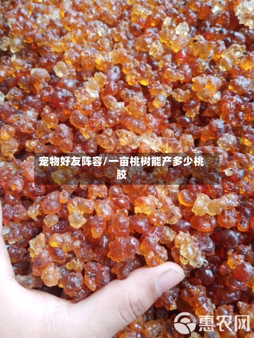 宠物好友阵容/一亩桃树能产多少桃胶-第2张图片