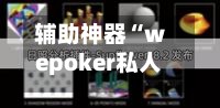 辅助神器“wepoker私人局有挂吗”开挂(透视)辅助神器-第2张图片
