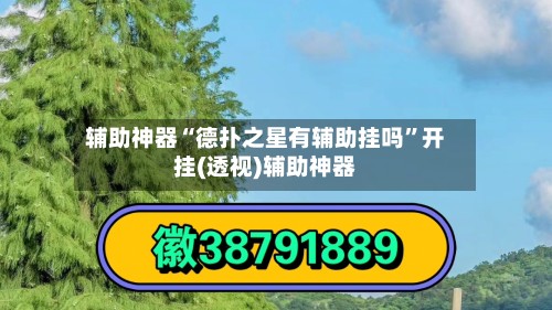 辅助神器“德扑之星有辅助挂吗	”开挂(透视)辅助神器-第2张图片