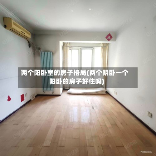 两个阳卧室的房子格局(两个阴卧一个阳卧的房子好住吗)-第2张图片