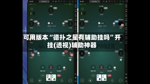 可用版本“德扑之星有辅助挂吗”开挂(透视)辅助神器-第3张图片