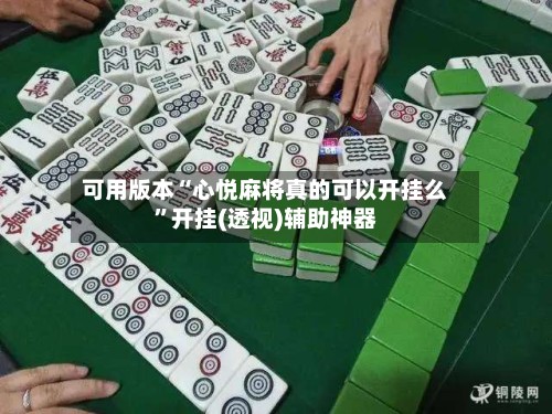 可用版本“心悦麻将真的可以开挂么	”开挂(透视)辅助神器-第2张图片