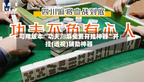 可用版本“功夫川麻免费开挂神器”开挂(透视)辅助神器-第3张图片