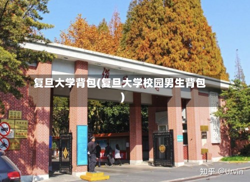 复旦大学背包(复旦大学校园男生背包)-第3张图片
