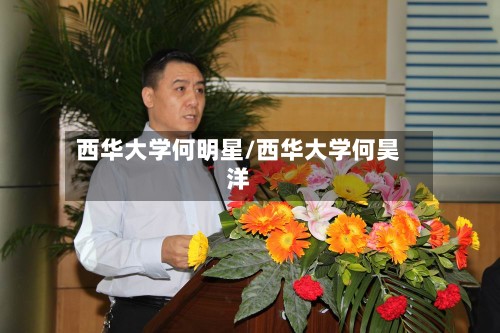 西华大学何明星/西华大学何昊洋-第3张图片